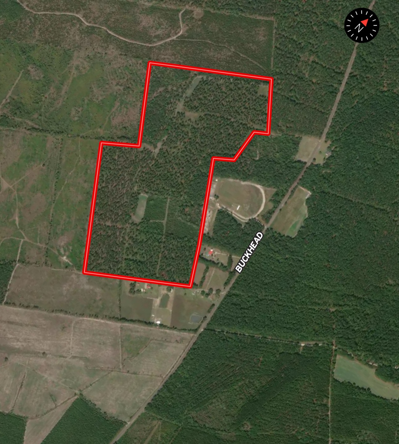 106+ acres of land for recreation, timber, and habitat management in Bamberg, SC!
